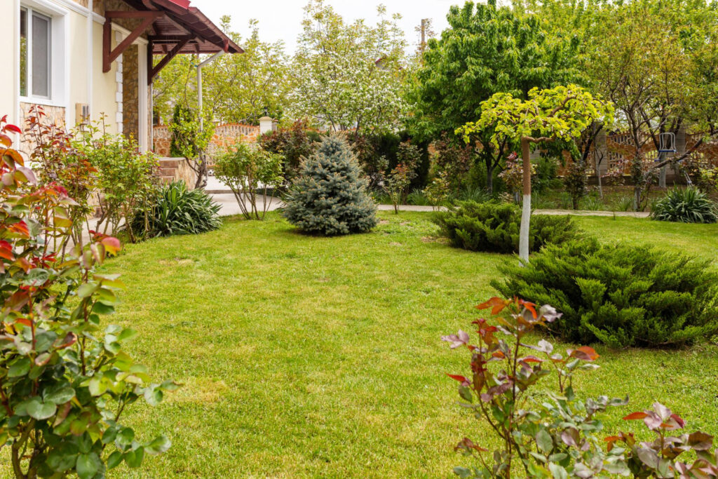 backyard remodel near me