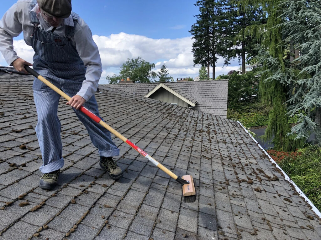 roof cleaning services