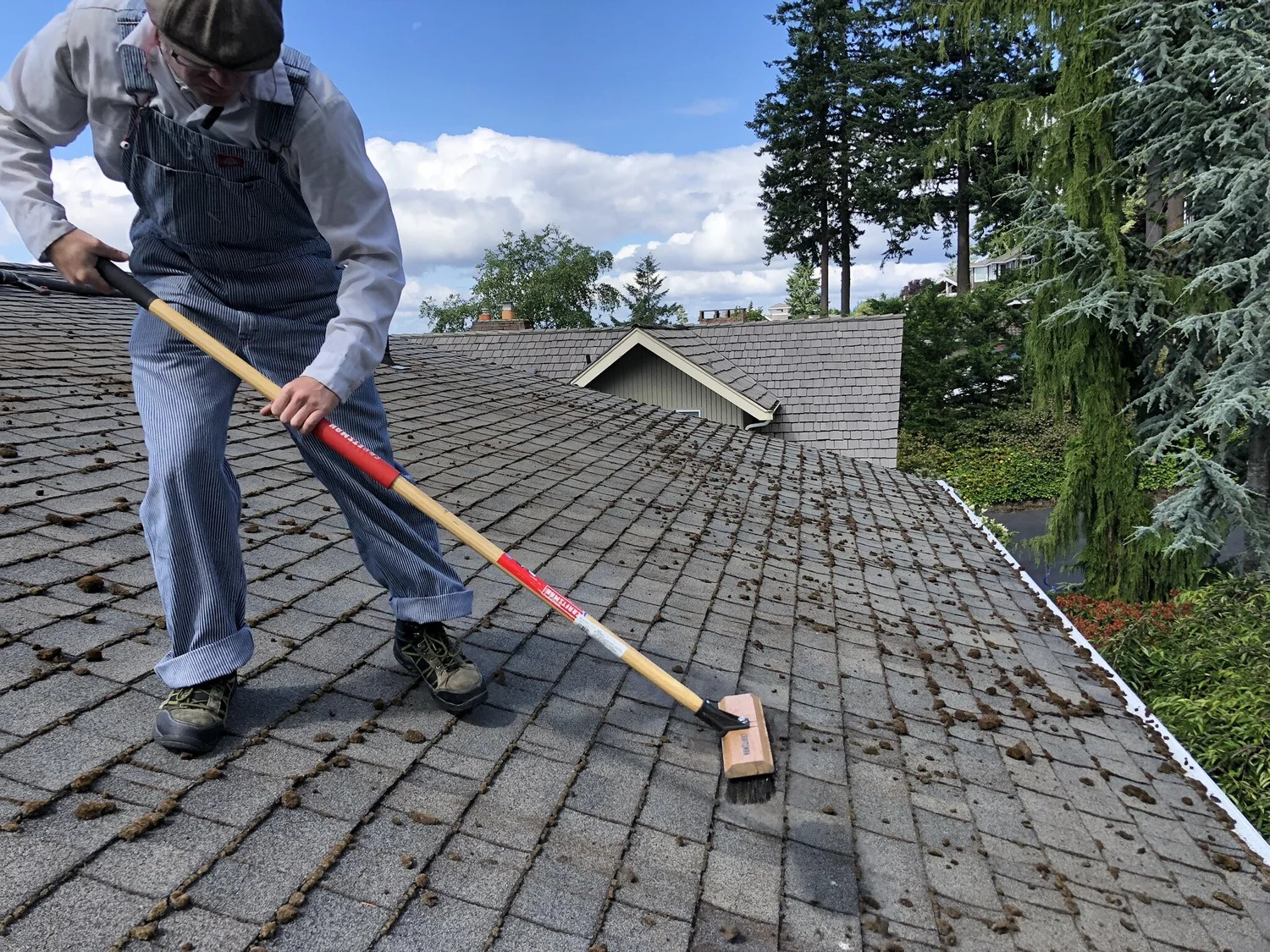 roof cleaning services
