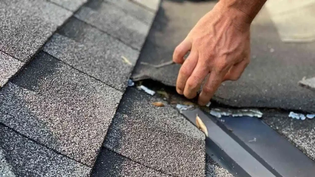 roof replacement